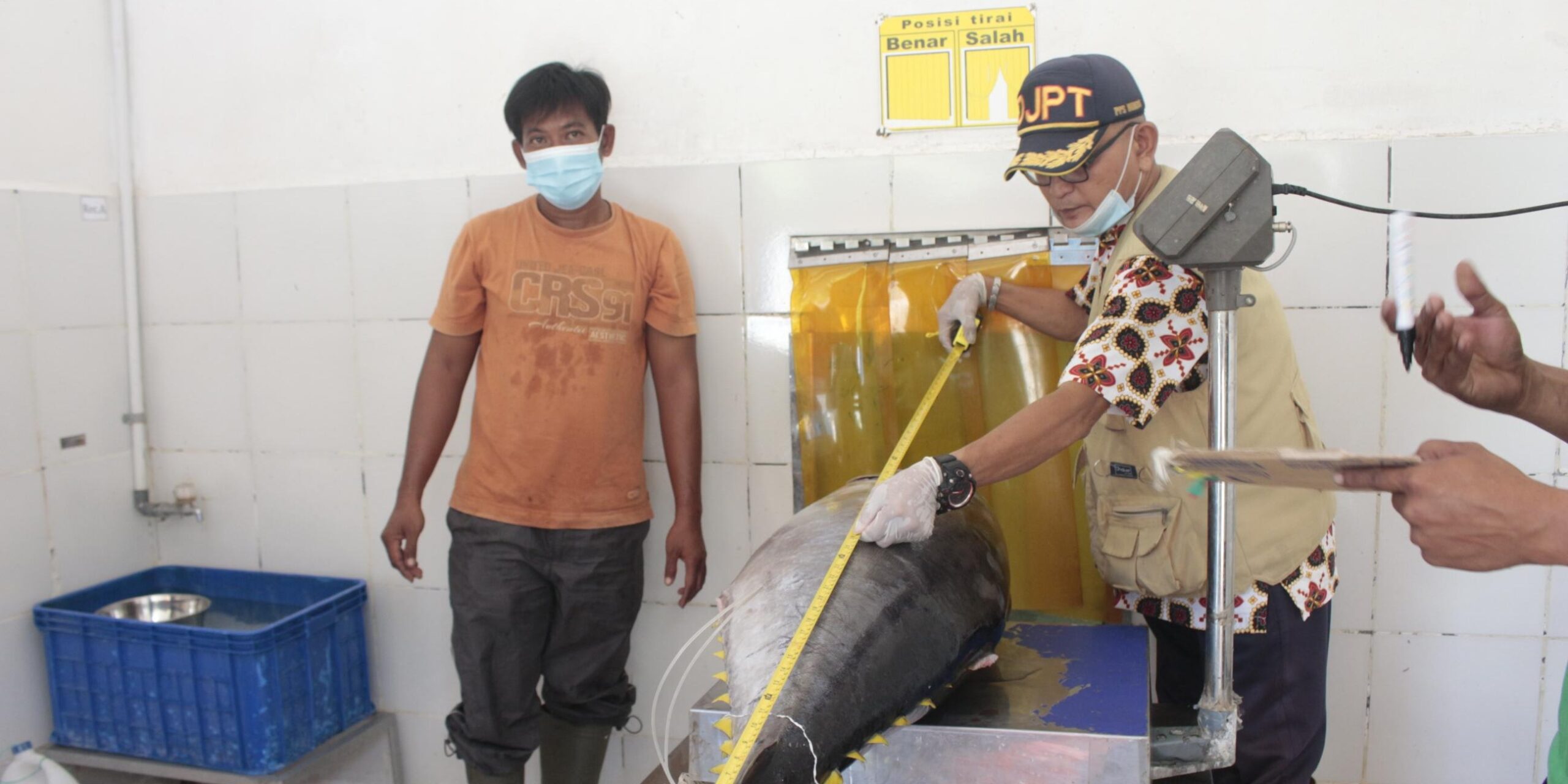 tarif-0-persen-tuna-cakalang-ke-jepang-kkp-jaga-kualitas-rantai-produksi-perikanan-E0MW